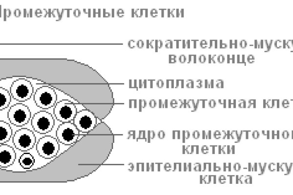 Кракен сайт магазин