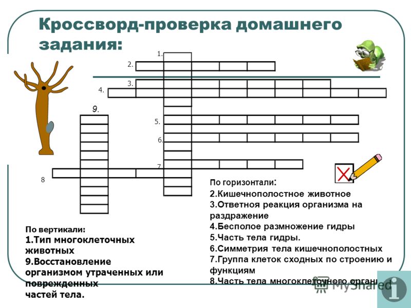 Площадка кракен